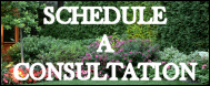 Martinez Tree Service
