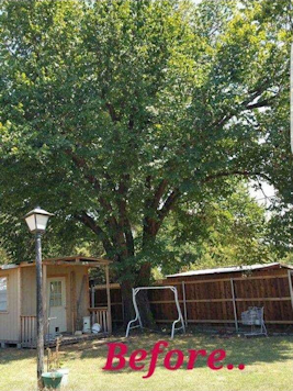 Tree Removal Carrollton Texas Martinez Tree Service Tree Services Lawn & Landscaping Carrollton Texas North Dallas